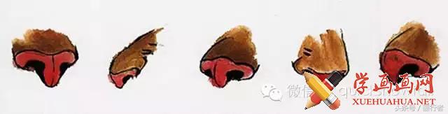 画虎年的老虎,如何画虎年的老虎