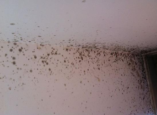 地下室潮湿发霉怎么办,电渗透解决地下室潮湿发霉