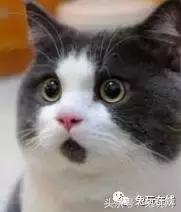 游戏代练有多辛苦,游戏代练真实经历