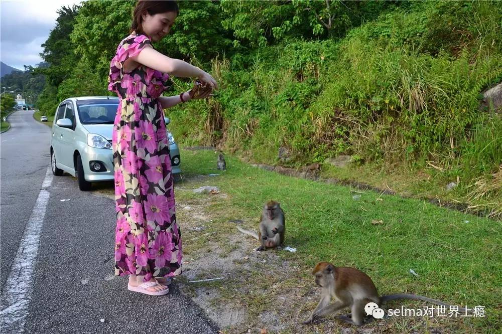 国外旅游攻略西欧,欧洲旅游西班牙出发攻略最新