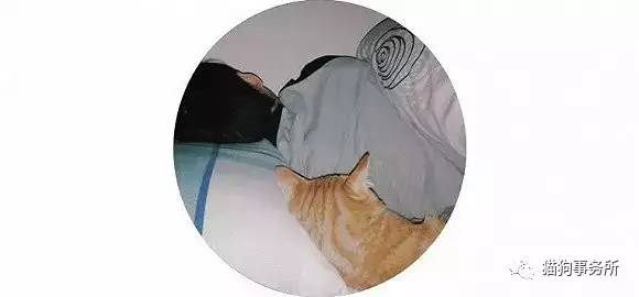 为什么猫可以让一个人的心情变好,猫能使人成熟的从来不是岁月