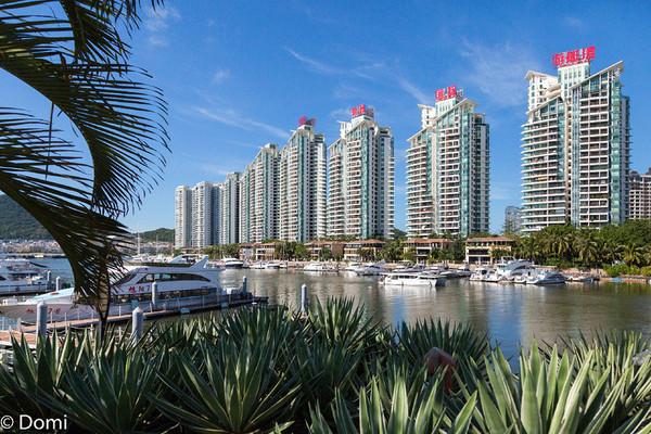 一顿海鲜大餐都有什么,海鲜大餐又便宜又营养又好吃