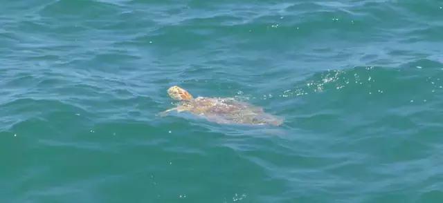 西澳珀斯游记,西澳游记攻略