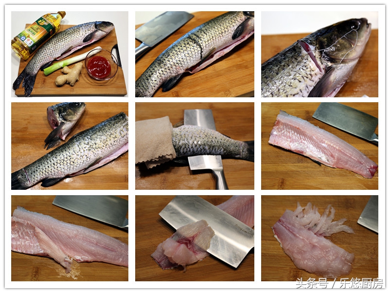 多吃鱼能聪明,多吃鱼的十大好处