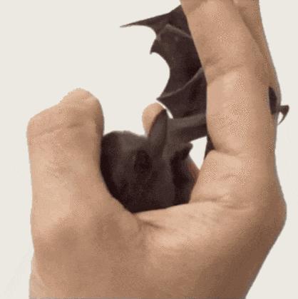 大爷的遮阳工具堪称完美,整体搭配又如此清新脱俗