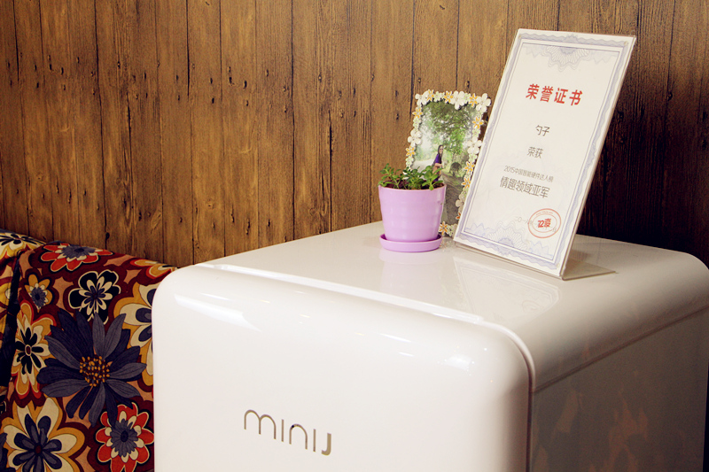 静音复古小冰箱,复古小冰箱双门