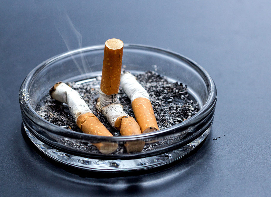 君子兰叶片稀疏怎么办,君子兰叶片长偏如何纠正