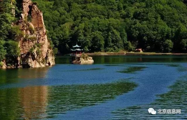 父亲节陪爸爸去玩耍,爸爸和宝贝间的互动父亲节