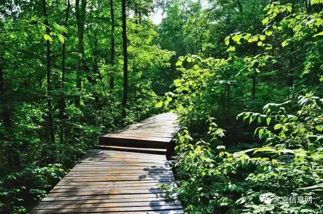 父亲节陪爸爸去玩耍,爸爸和宝贝间的互动父亲节