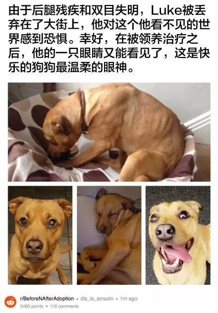 桌边社20170615：这么热的天气出门，撒孜然比喷香水更诱人