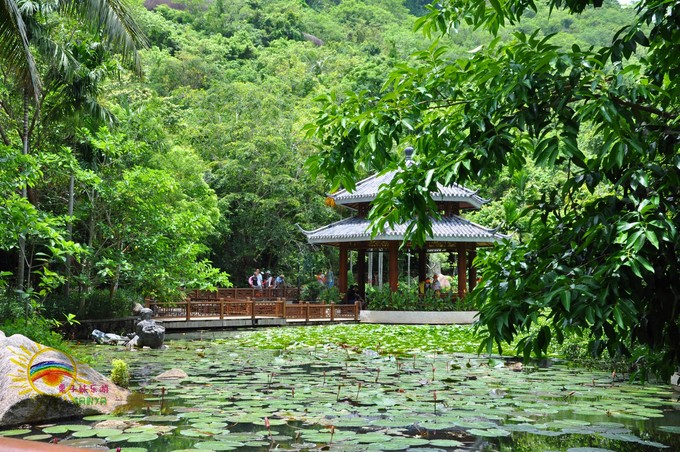 跟着大海去旅行三亚,记录旅行时光娃带老妈三亚看海