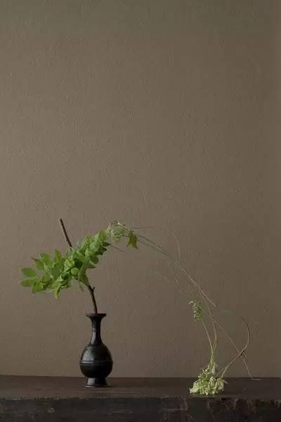 开到荼蘼花事了|川濑敏郎《一日一花》