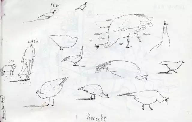 树丛|大眼睛小眼珠,呆萌可爱舍夫勒