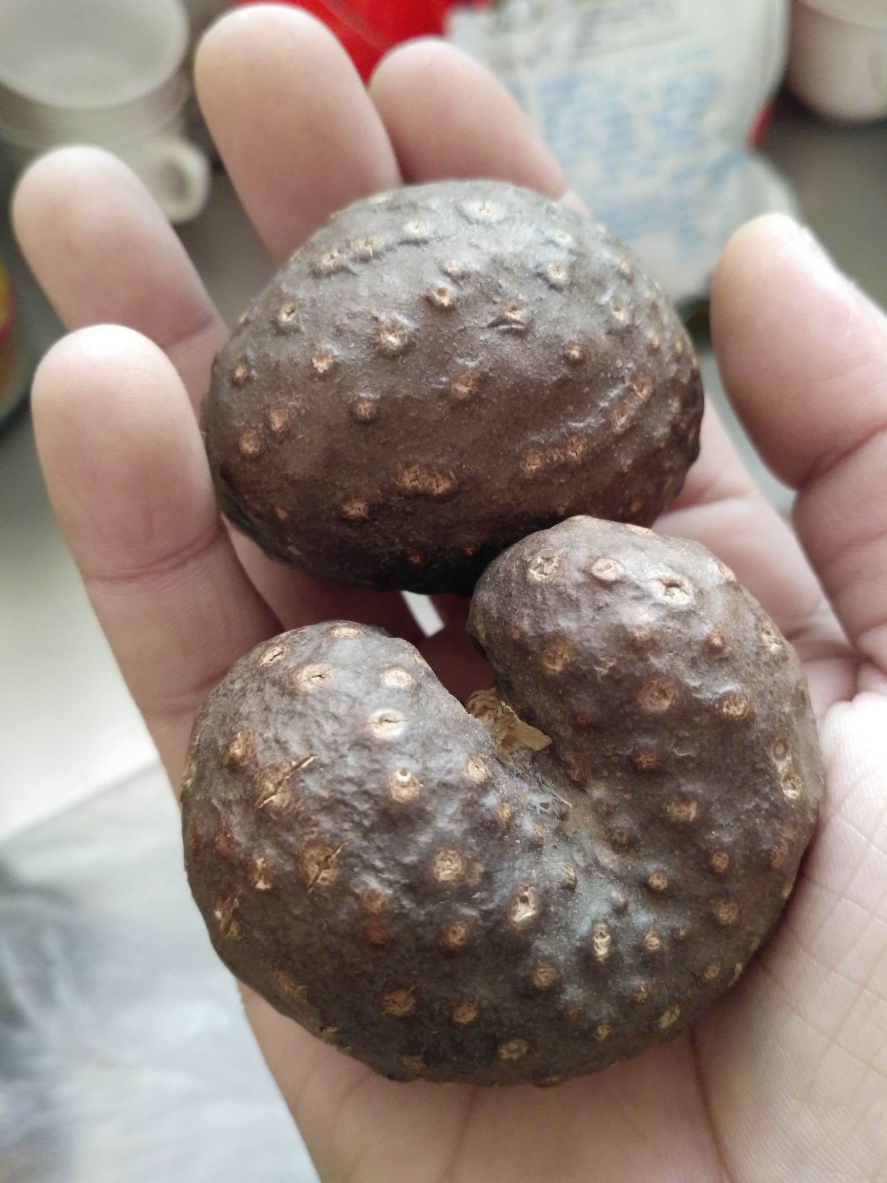 农村山里有什么特产,不起眼的农村土特产是什么