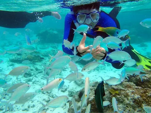 喜大普奔完整版视频,喜大普奔完整视频