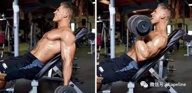 杠铃曲杆健身方法,杠铃曲杆可以练哪些动作