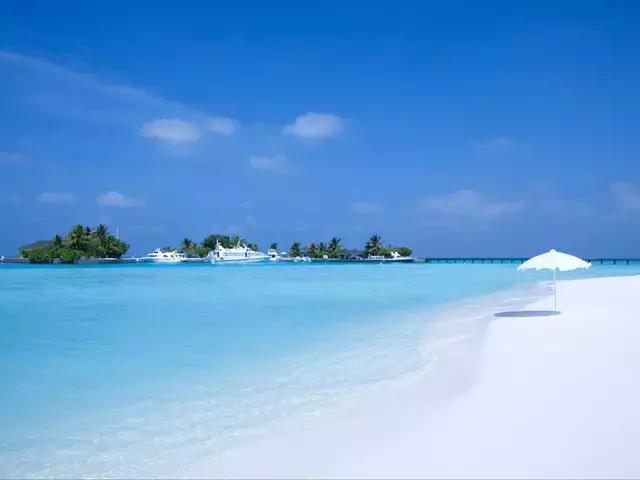 喜大普奔完整版视频,喜大普奔完整视频