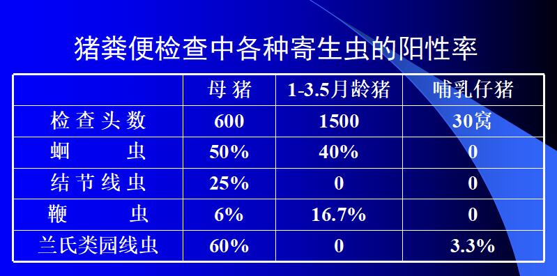 猪寄生虫对猪场的危害,猪寄生虫对母猪的危害