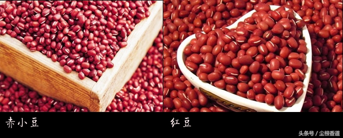 薏米红豆粥怎么煮才能祛湿,薏仁红豆粥祛湿正确做法