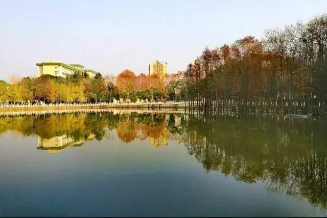 中南民大好在哪,中南民大官网新闻