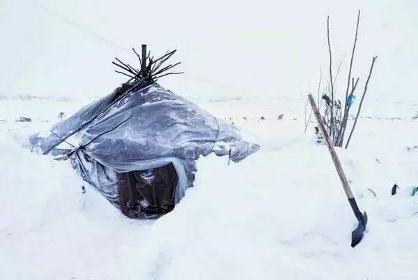 没看先给六颗星，中国人不敢干的事这对情侣全干了