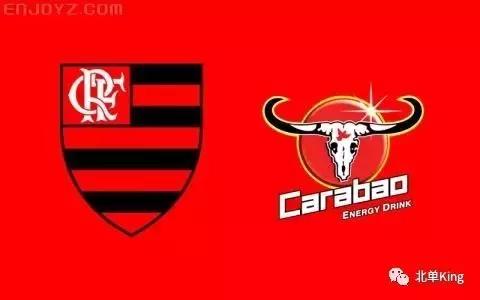 巴甲桑托斯对弗拉门戈,巴甲联赛主场