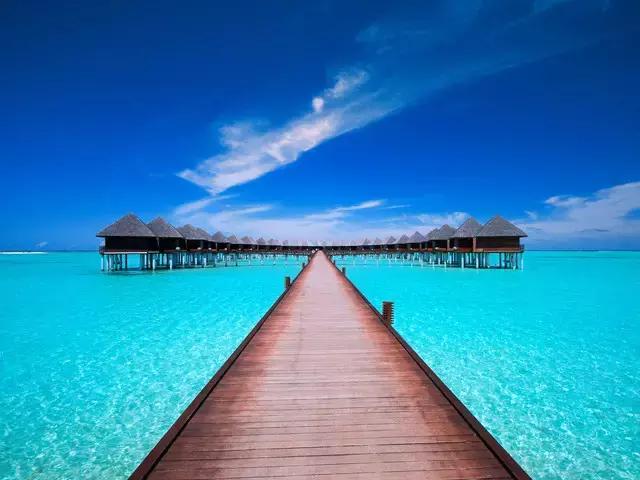 喜大普奔完整版视频,喜大普奔完整视频