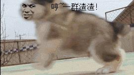 斗鱼直播大王卡免流量吗,腾讯大王卡斗鱼免流量么