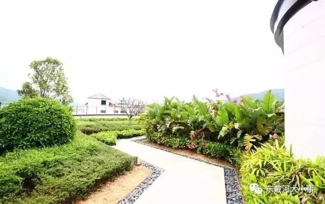 东戴河，比丽江清净，比大理多情，去过的人，没有一个人不爱它