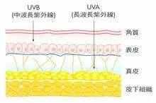 全网最好用的防晒美白测评,防晒不假白推荐