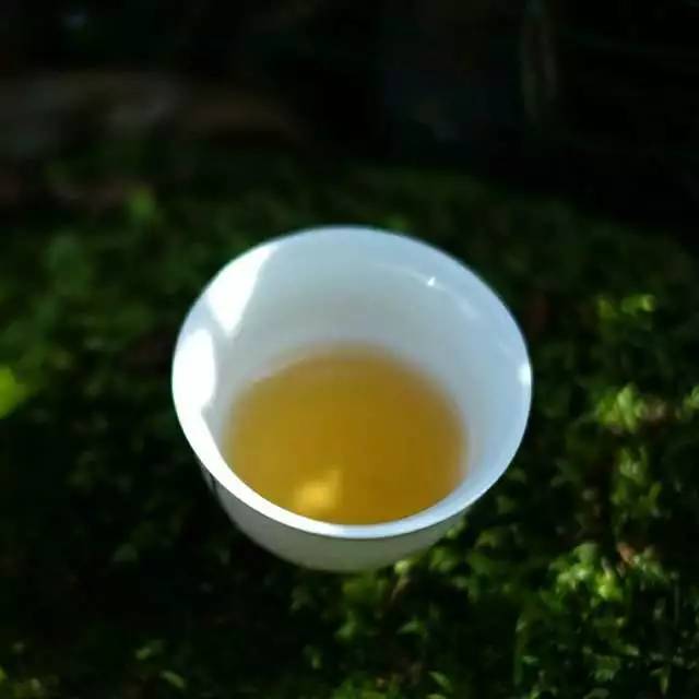 茶传媒采访视频,茶传媒深度访谈