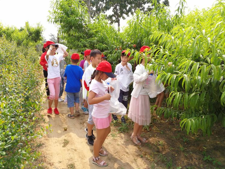 暑假桃源一日游,荥阳高村沐恩生态园