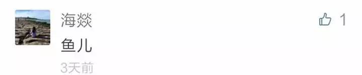 还有人记得自己qq第一个网名吗,你的第一个qq网名是什么