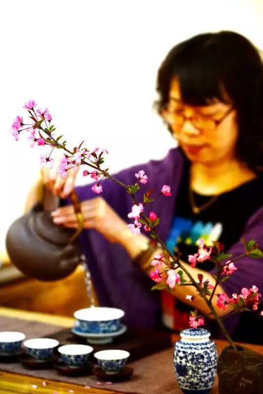 茶传媒采访视频,茶传媒深度访谈