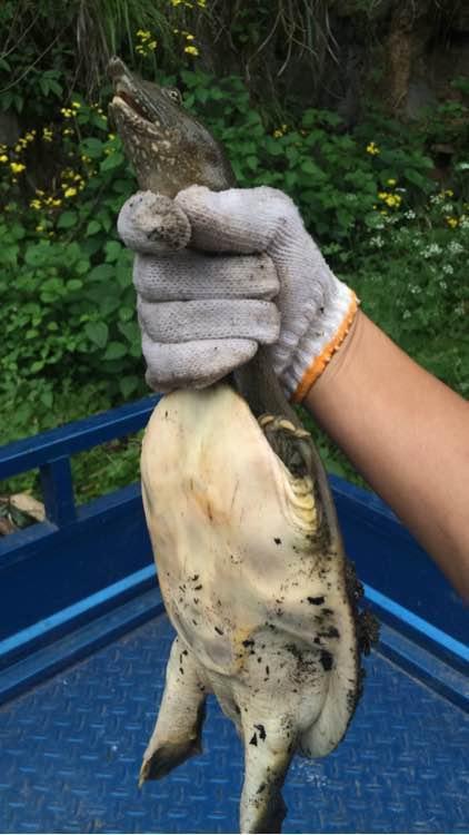 终于学会一门技术,终于学会了一项新技能