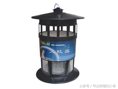 一只蚊子影响一座城,一只蚊子带来的灾难