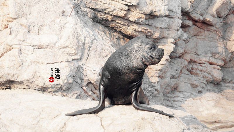 长隆亲子两大两小旅游攻略,珠海长隆横琴湾酒店亲子攻略