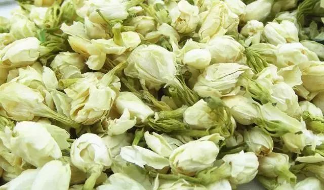 什么花驱虫又香,什么花驱虫又不伤人