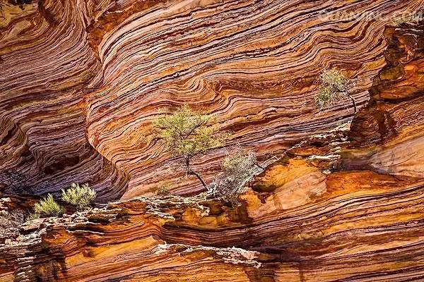 我一路向北离开有你的季节,我一路向北离开有你的季节什么梗