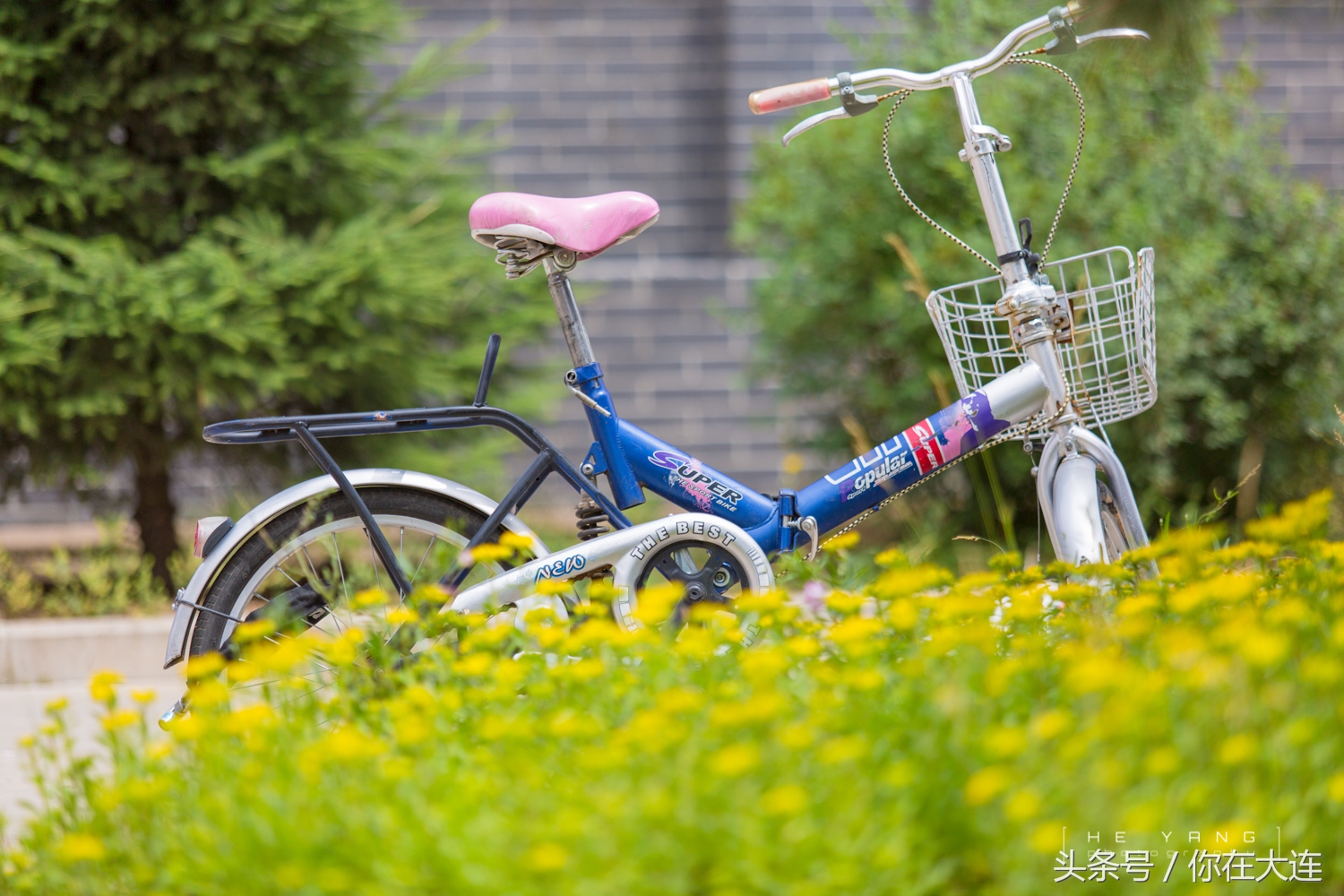 山西大同大学介绍,山西大同大学简介