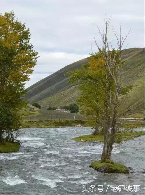 70后大叔徒步回家,70后大叔在家自驾游