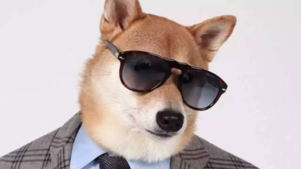 老板，近视是工伤！研究表明，越努力工作的人视力越差