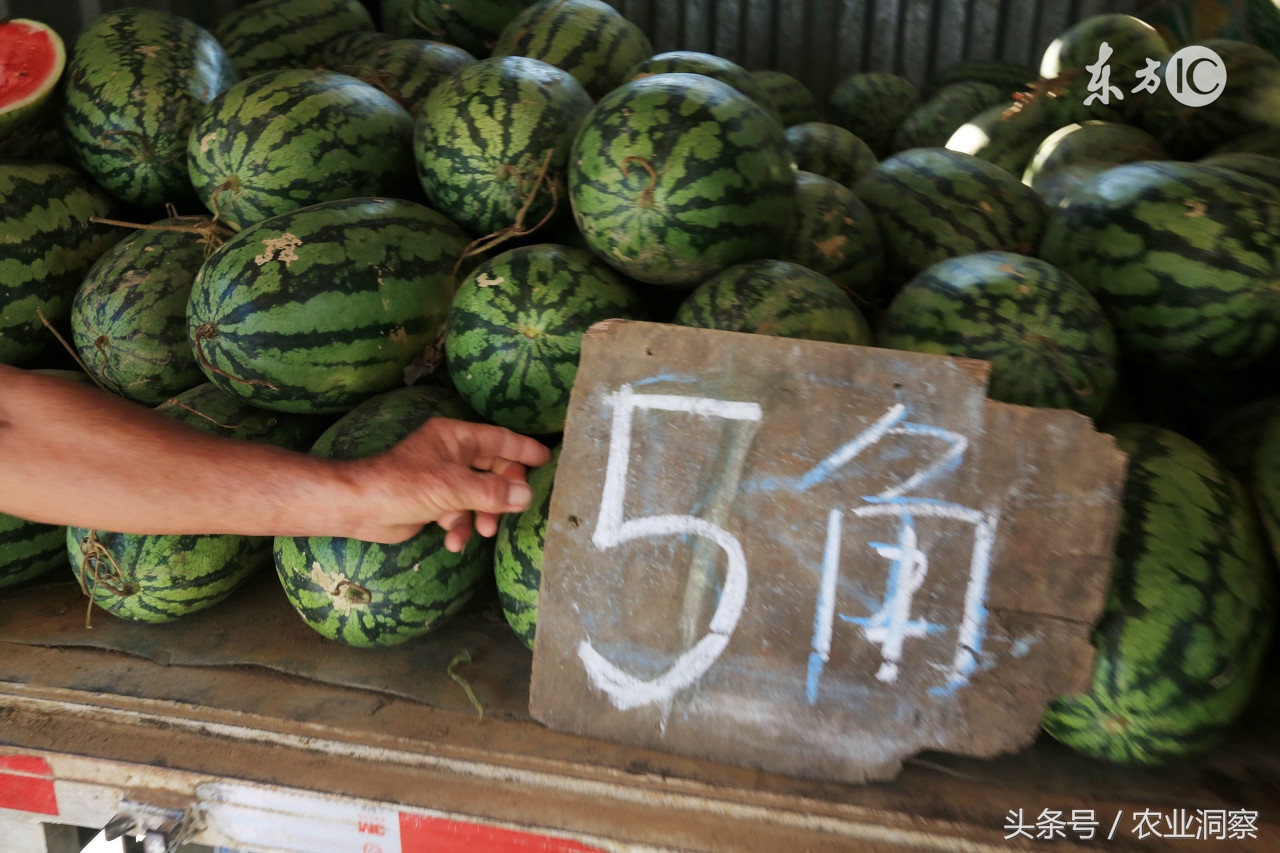 老瓜农,老瓜农的经验和说法