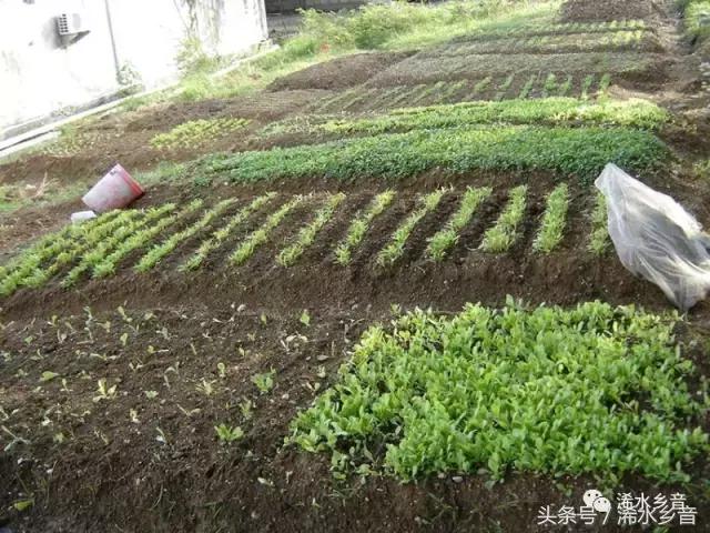 浠水帅哥,浠水的帅哥是谁