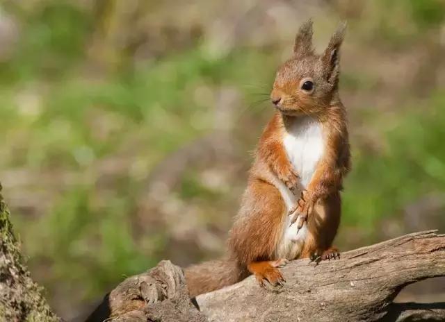 赚钱项目创富方法,干货分享36个创业赚钱的商业思路