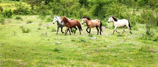 川西康定木格措,四川川西康定风景