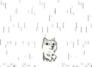 入梅怎样防潮,入梅要怎么不潮湿