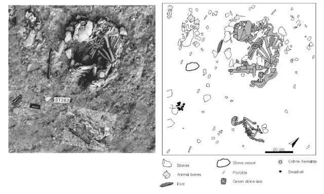人类最初驯化猫,猫在人类以前是什么样子