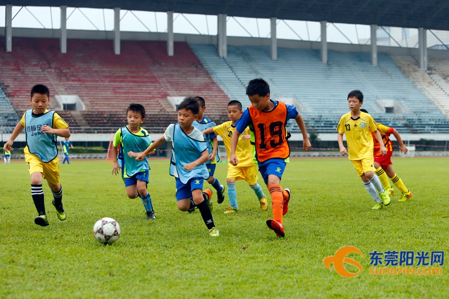 足球小将战术阵型和分析,怎样正确判断足球输赢