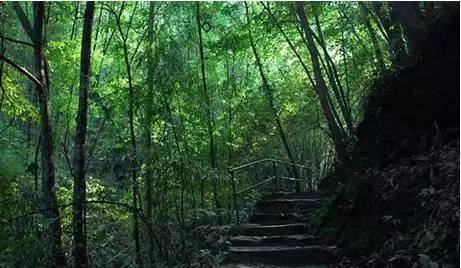 清远值得看看的地方,清远山清水秀的地方有哪些